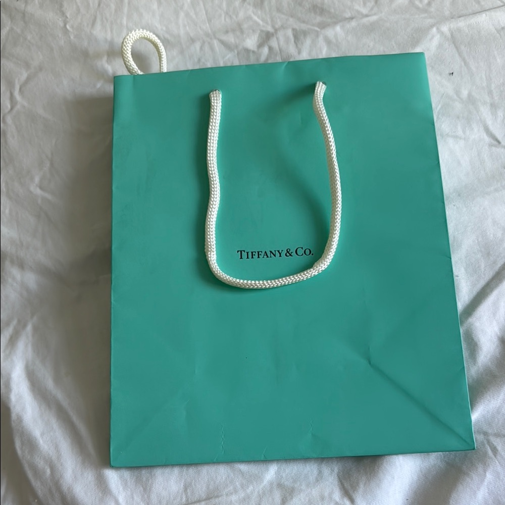 Authentic Tiffany medium shopping bag Wrapping ribbon